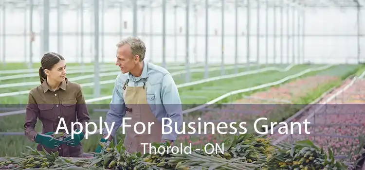Apply For Business Grant Thorold - ON